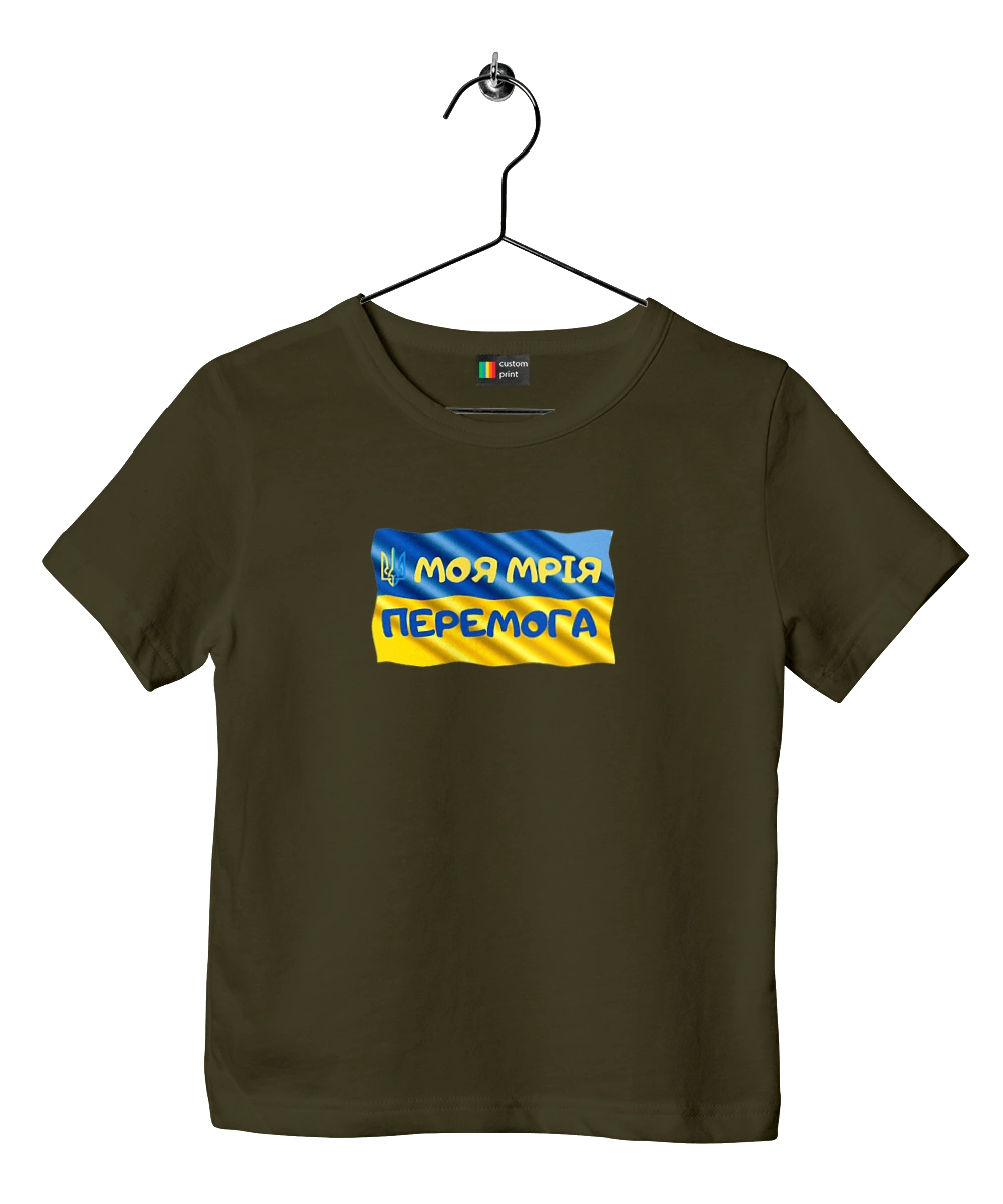 My dream is victory. the flag of Ukraine. Emblem of Ukraine