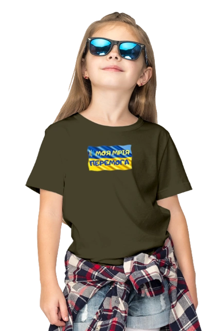 My dream is victory. the flag of Ukraine. Emblem of Ukraine