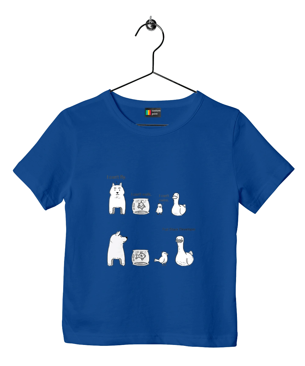 Full Stack Developer