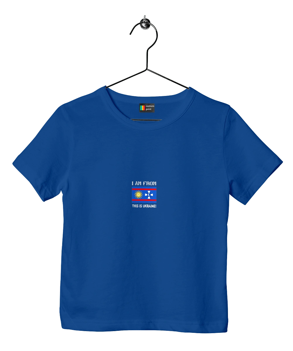 Flag of Vinnytsia region