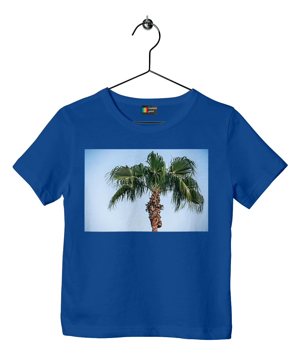 Пальма на тлі неба