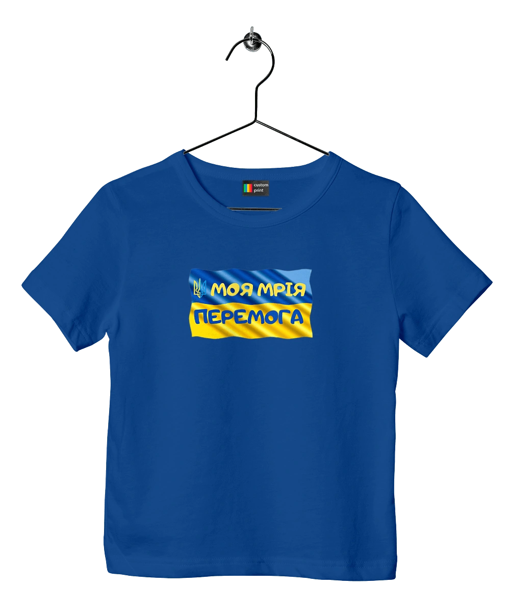 My dream is victory. the flag of Ukraine. Emblem of Ukraine