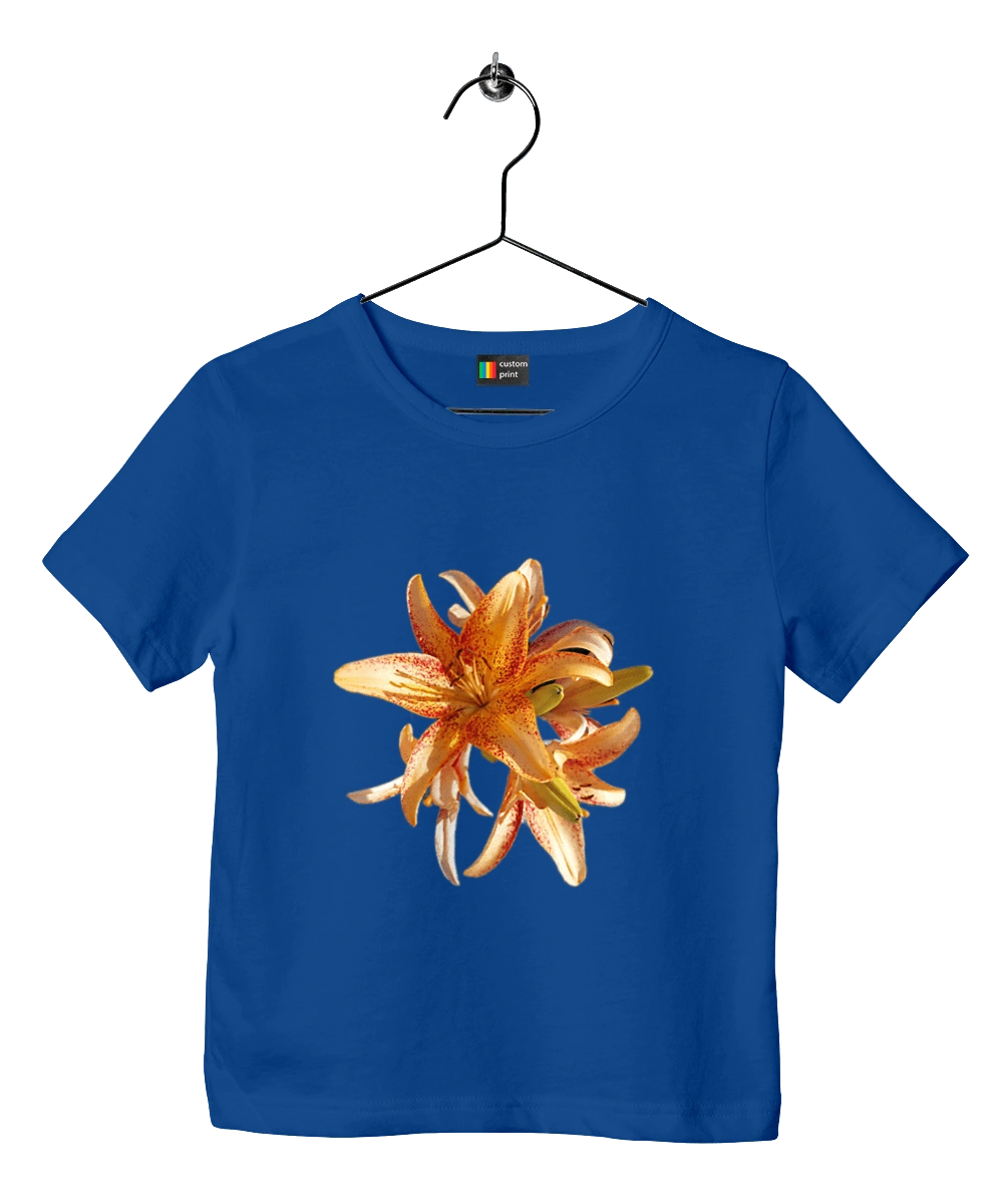 Оранжевая лилия