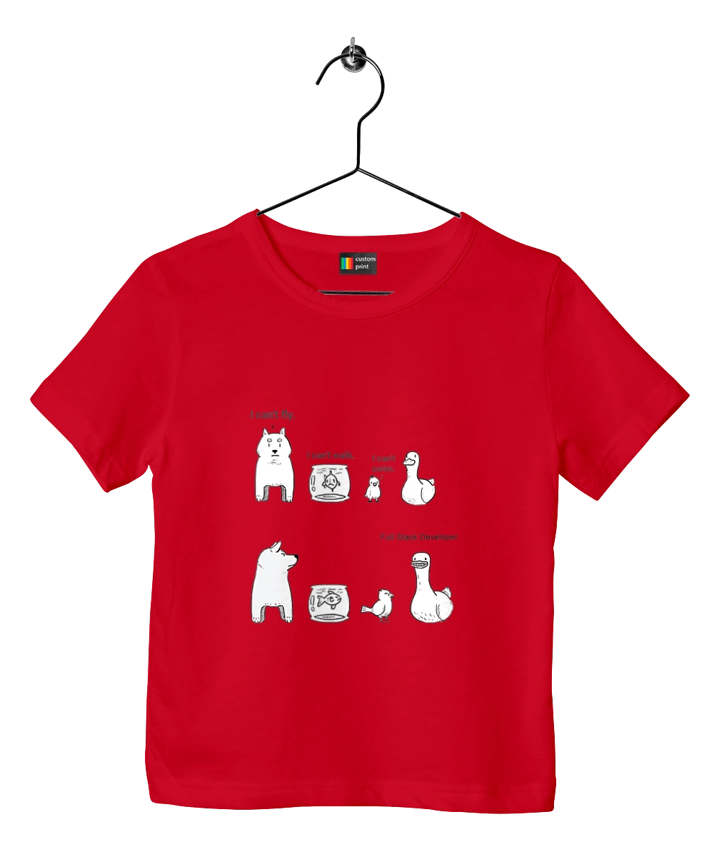 Full Stack Developer