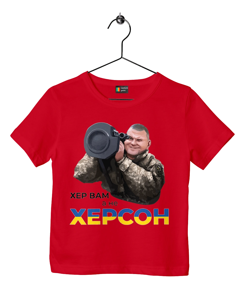 Zaluzhny about Kherson