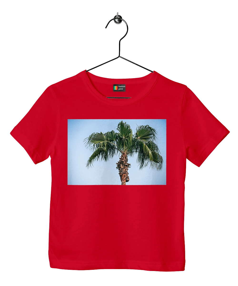 Пальма на тлі неба