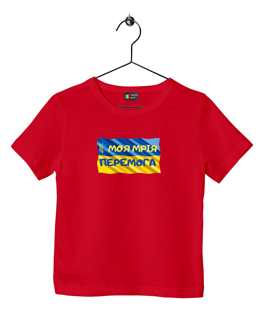 My dream is victory. the flag of Ukraine. Emblem of Ukraine