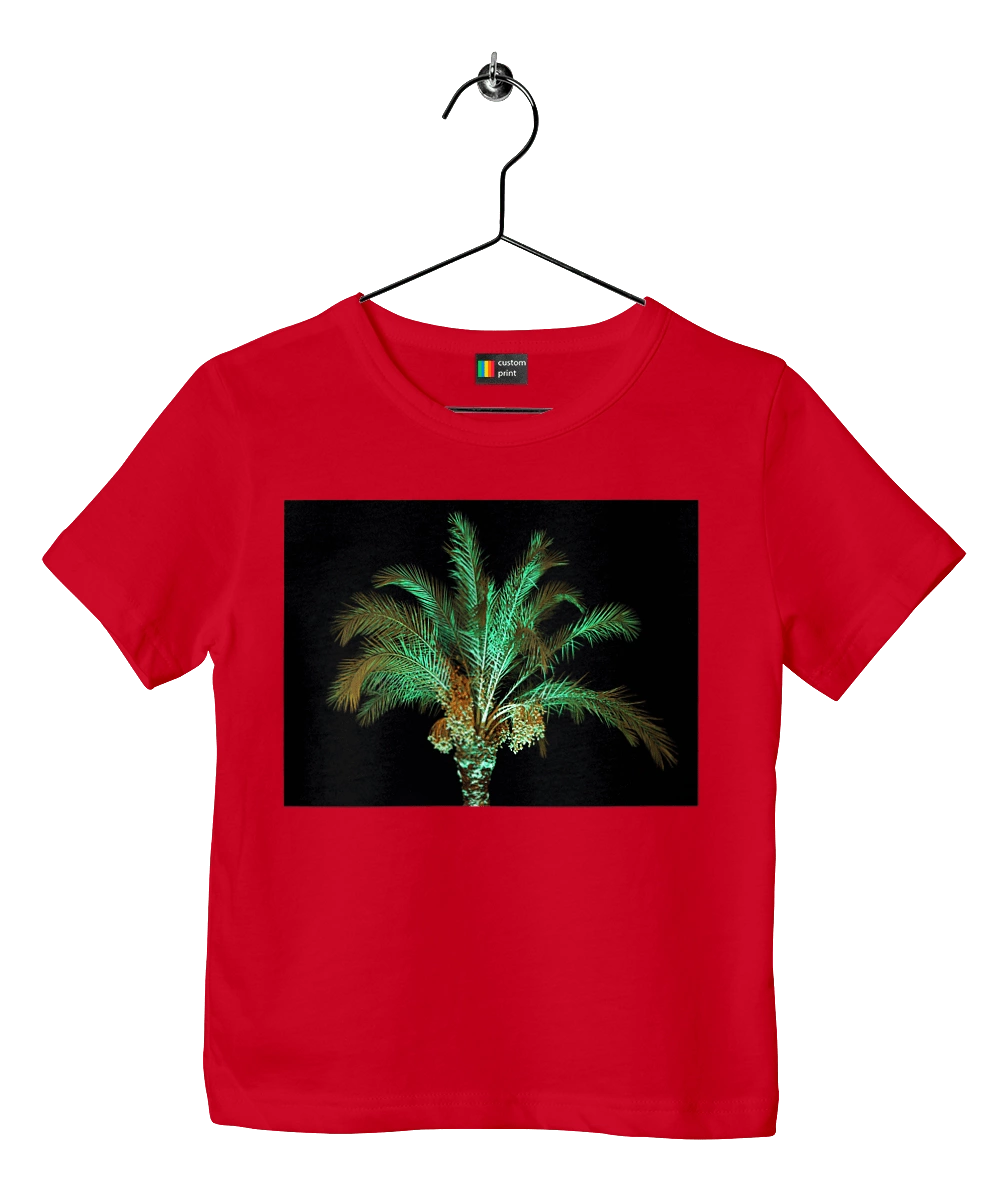 Фінікова Пальма Вночі