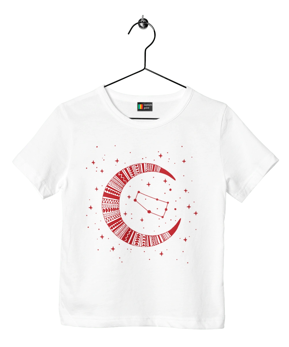 Знак зодиака Близнецы