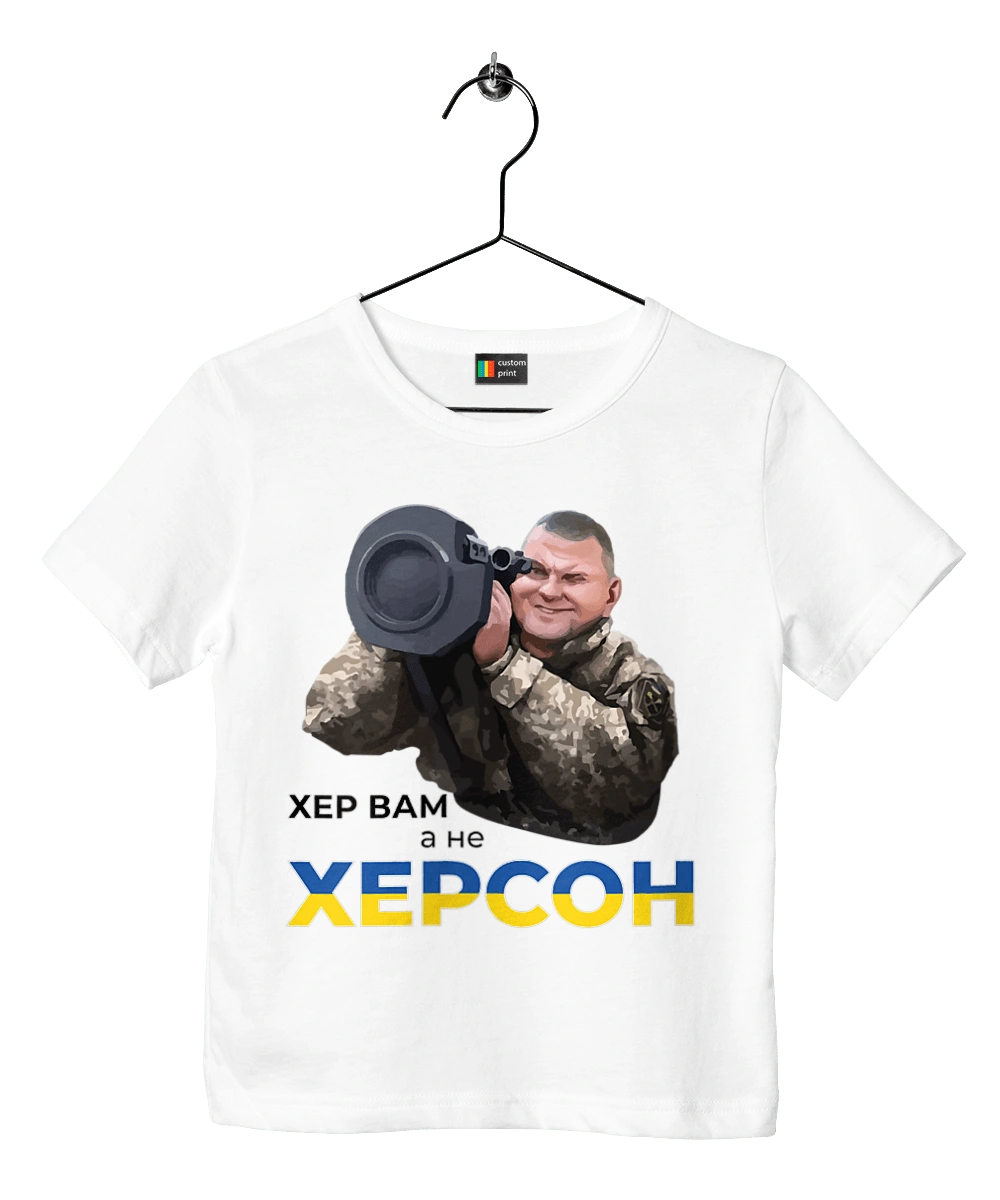 Залужний про Херсон