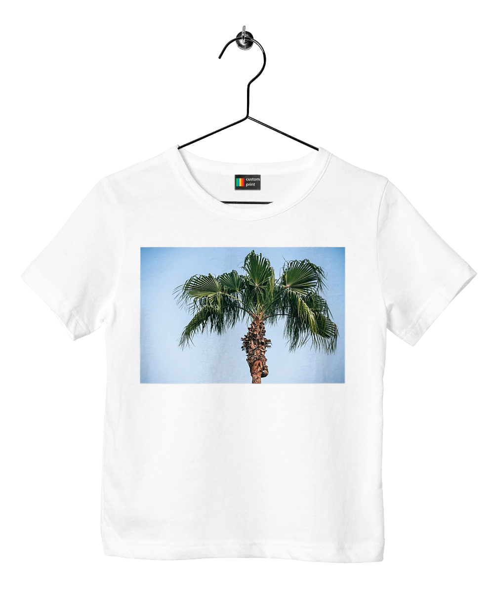 Palm tree against the sky