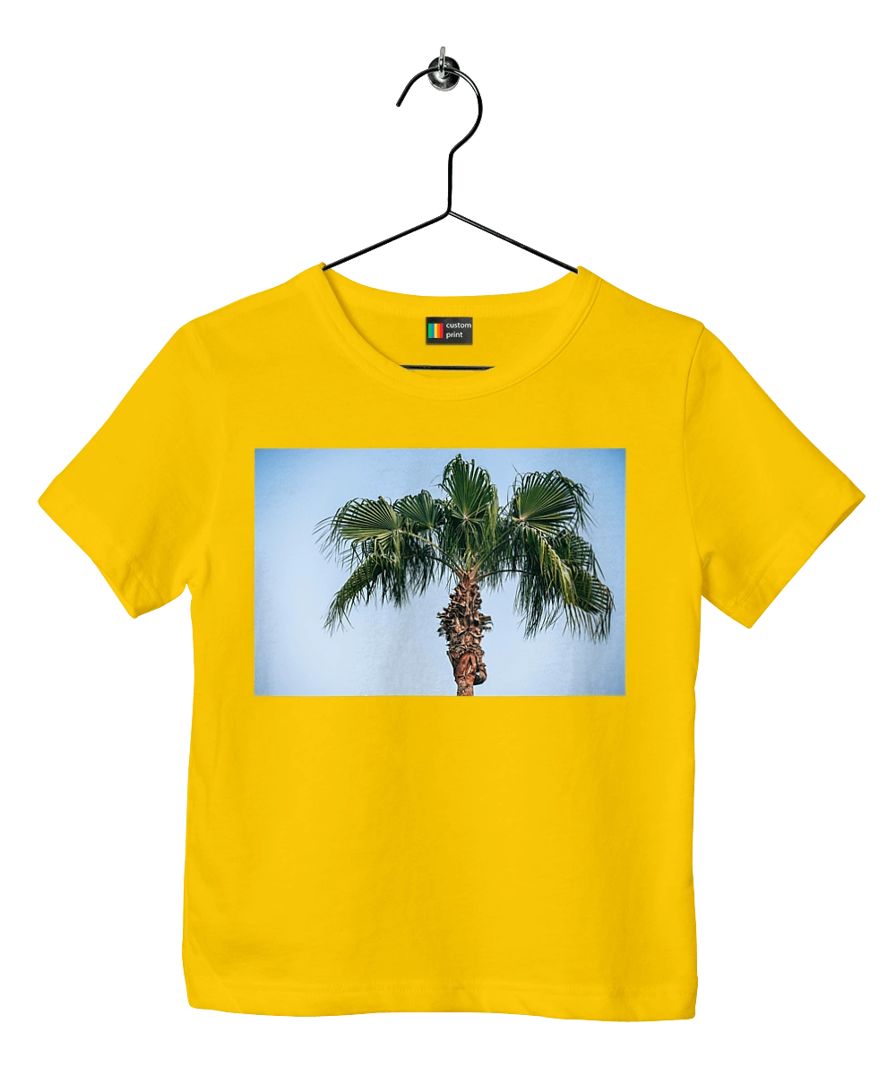 Пальма на тлі неба