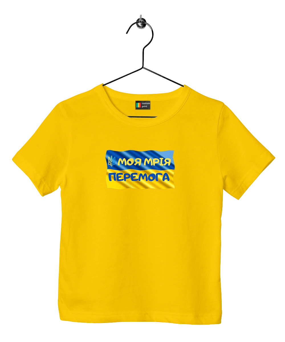 My dream is victory. the flag of Ukraine. Emblem of Ukraine