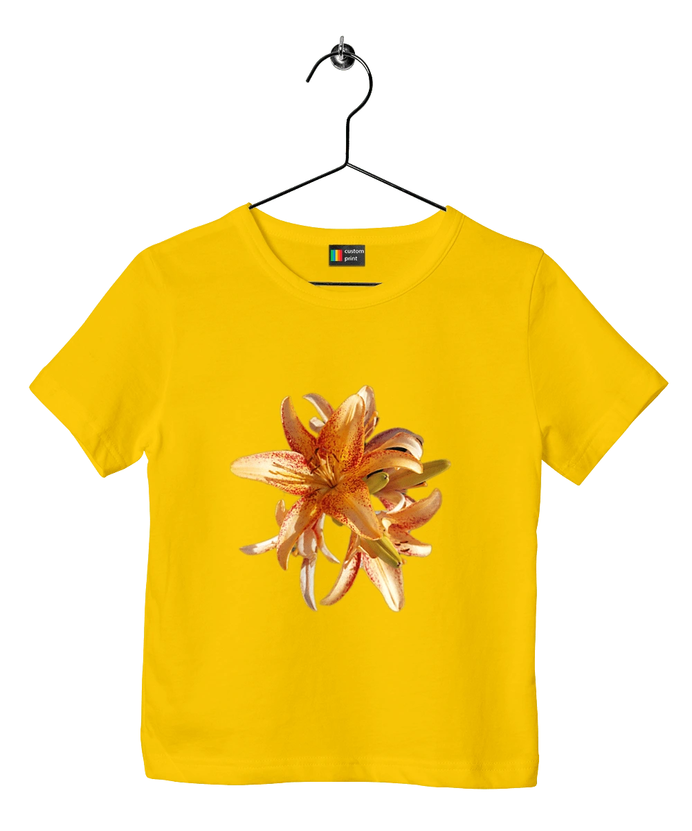 Оранжевая лилия