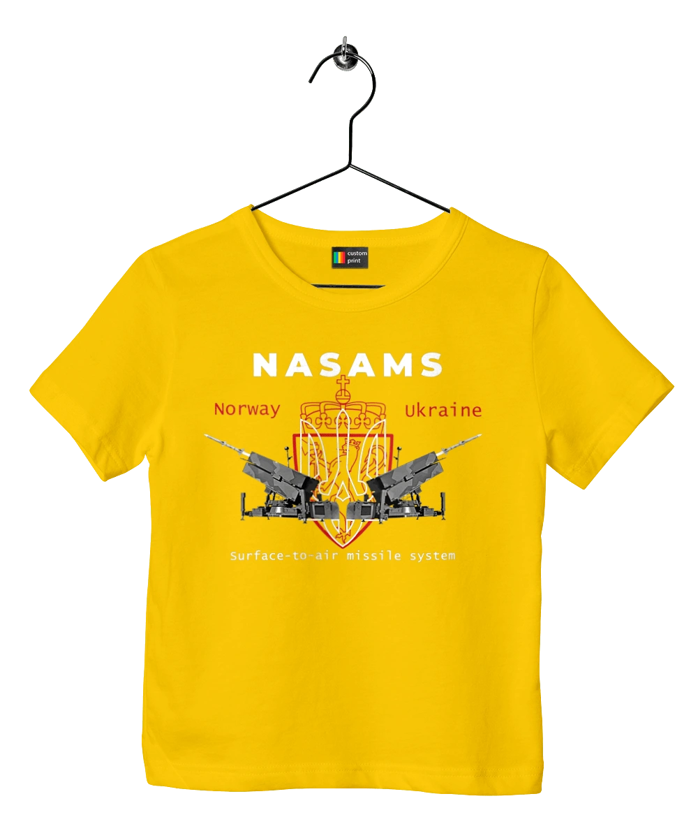NASAMS