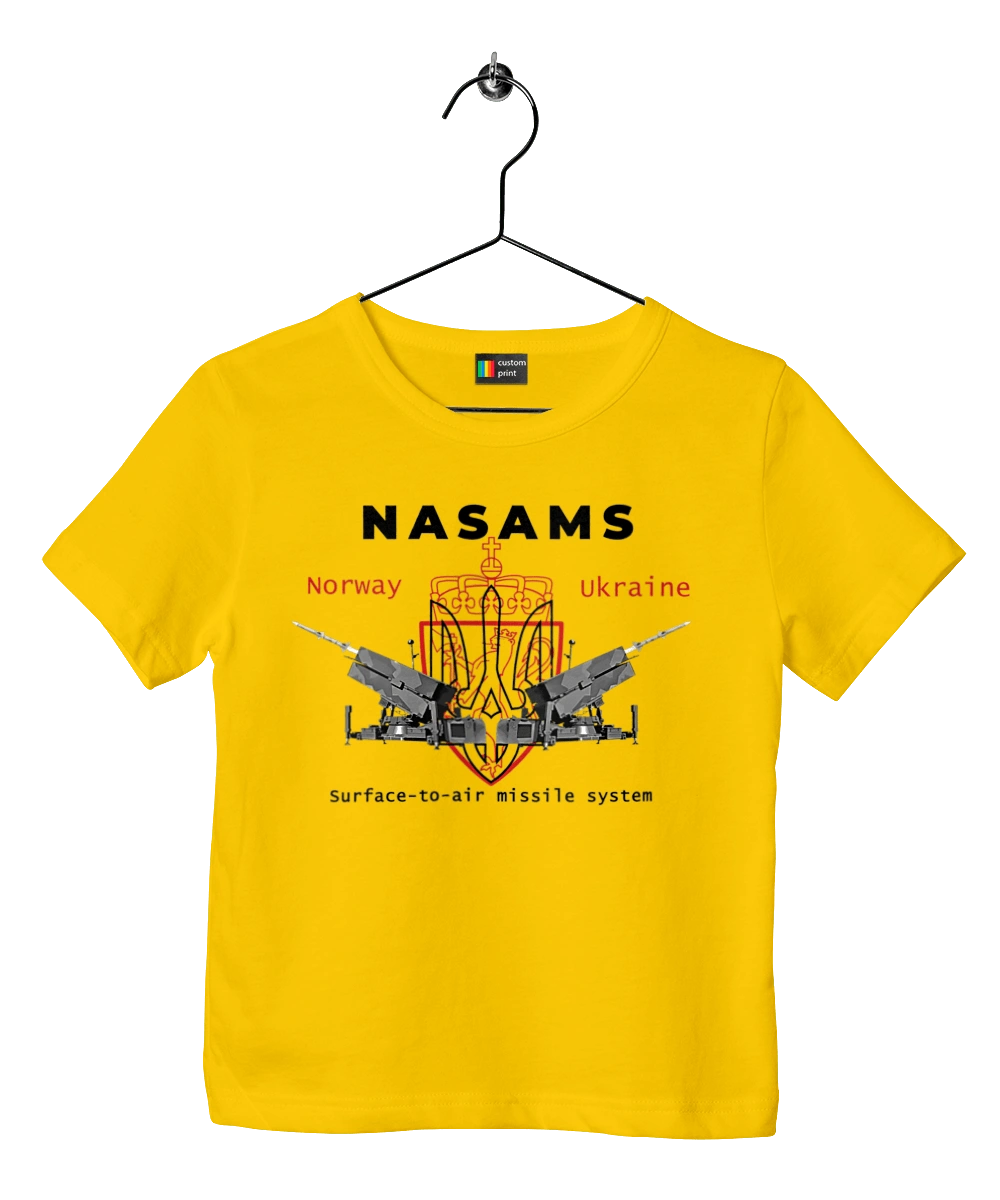 NASAMS