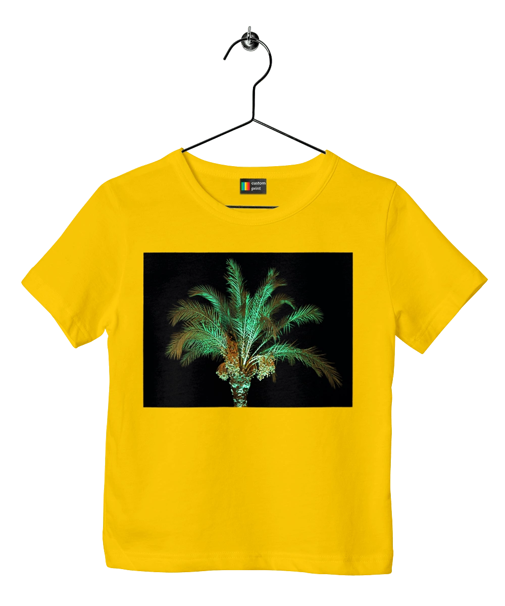 Фінікова Пальма Вночі